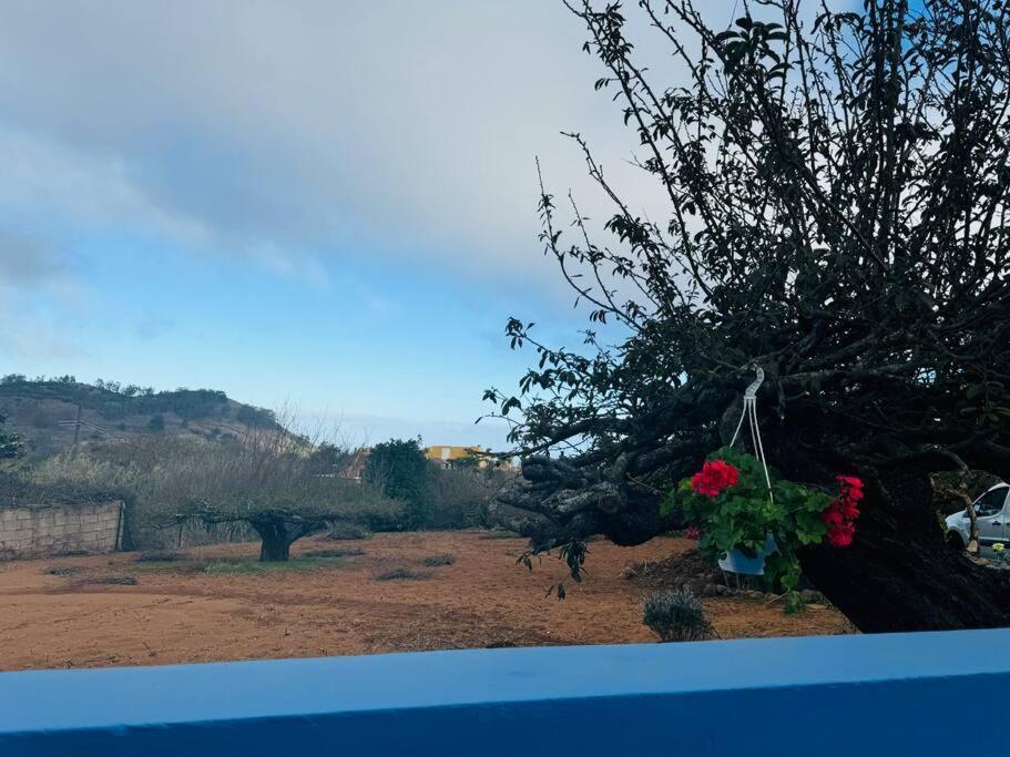 Villa La Casita De Rosi à La Esperanza  Extérieur photo